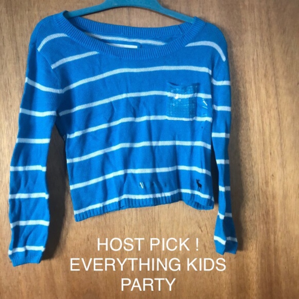 NWT Abercrombie blue and white striped sweater xl